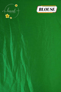 APL0203 Mint Green Semi Organza saree featuring digital floral printed with scalloped gold border.