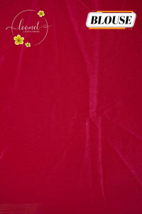APL0501 Deep Crimson Chinnon saree with zardosi-style floral buttas and scalloped cutwork border.