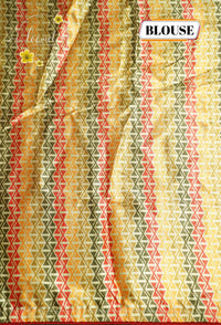 ARN1717 Multi-color Georgette saree with Zig-Zag geometric pattern.