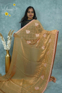 ARN3002 Champagne Gold Organza saree with all-over intricate floral threadwork embroidery.