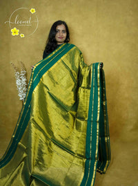 ASB25601 Metallic Olive Tissue Cotton saree with plain body pattern.