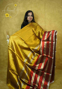 ASB2550 Mustard Gold Tissue Cotton saree with zari-striped pallu.