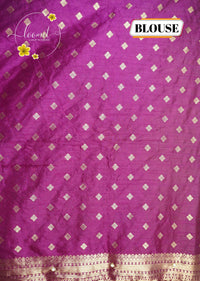 AVD6434 Wine Pasmina silk saree with solid plain body Meenakari-style pattern.