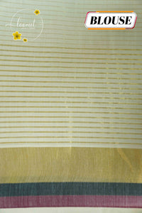 CKS5411 Off-White Cotton saree featuring fine gold stripes with triple-tone border.