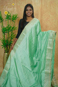 IWS4334 Seafoam green semi tussar silk saree with a silver checkered zari border.