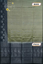 LSK6130 Silver-Grey silk saree with black pallu richly woven with large, intricate silver zari peacock motifs.