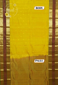 LSK6132 Mustard Yellow silk saree with intricate gold brocade patterns and broad borders.