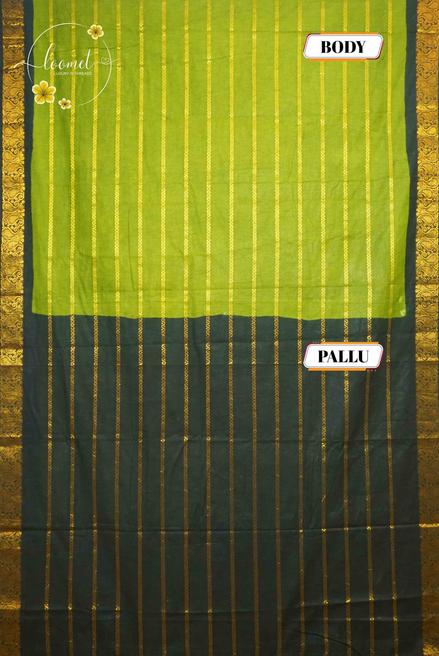 SPT3144 Grass green saree with horizontal gold zari stripes on the body with gold brocade peacock motifs on a solid black base.